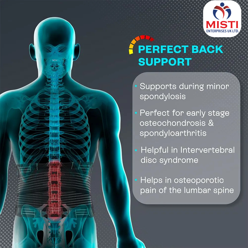 Back Support Belt - Image 2